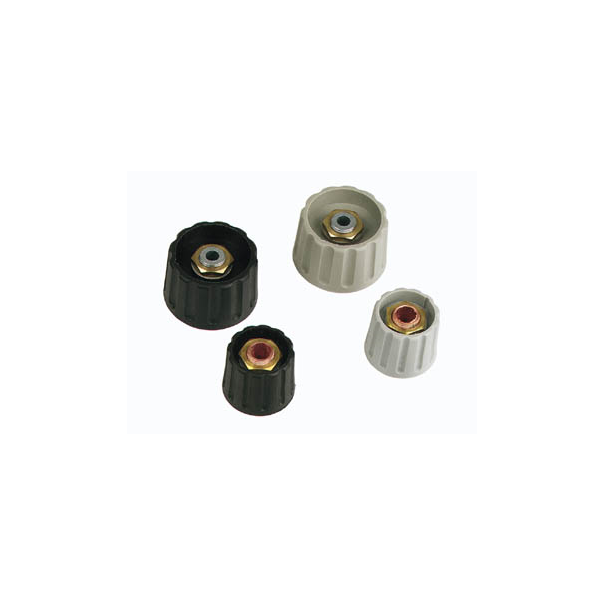 BOUTON  (GRIS 28mm/6mm) 2 PINCES