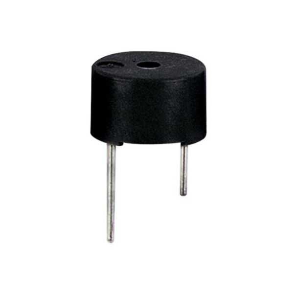 MICRO BUZZER 12Vcc TYPE CI - SCELLE