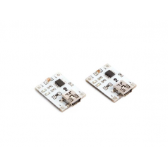 MODULE DE CHARGEMENT DE BATTERIE LITHIUM 1 A (2 pcs)