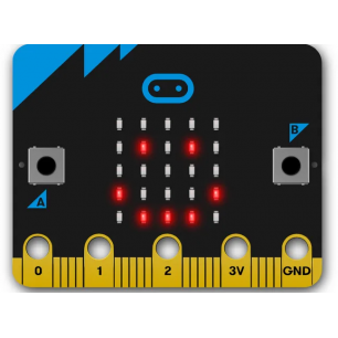 Carte Microbit