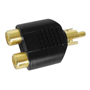 DOUBLE RCA FEMELLE VERS RCA MALE - DORE