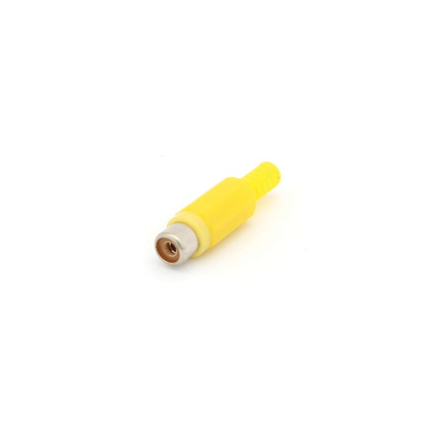 FICHE RCA FEMELLE - JAUNE