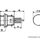 VOYANT ROND 14mm 12V CLAIR