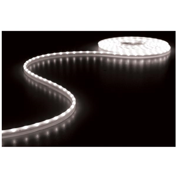 FLEXIBLE À LED - BLANC FROID 6500K - 300 LED - 5m - 12V