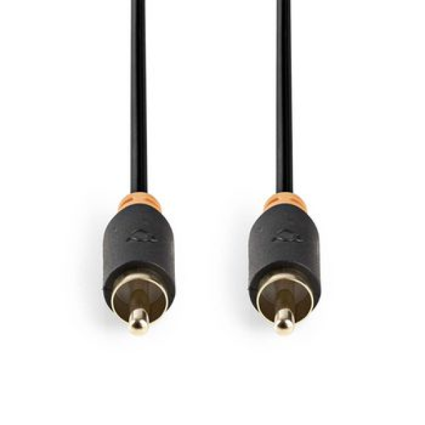 Câble audio RCA mâle vers mâle de 2m