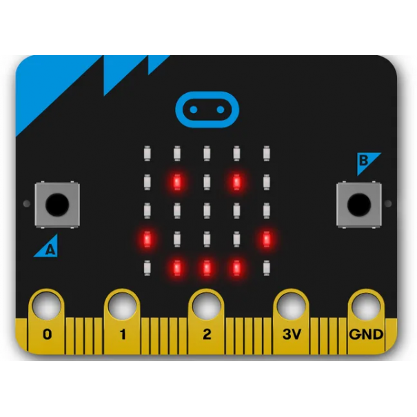 Carte Microbit